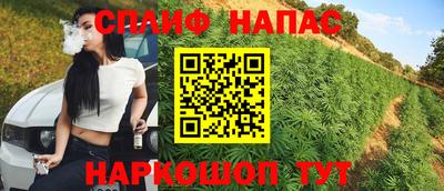 стаф Заводоуковск