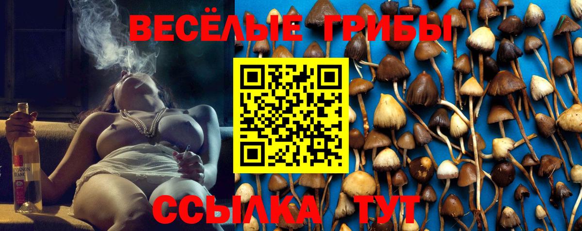 Псилоцибиновые грибы Magic Shrooms  Вход с VPN  Зерноград  Псилоцибиновые грибы Cubensis 