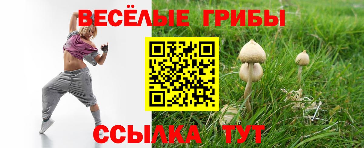 Псилоцибиновые грибы Psilocybine cubensis Зерноград